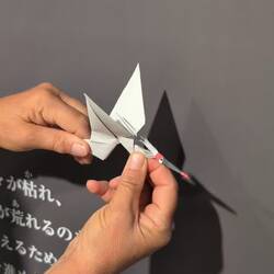 Fliegender Papieribis