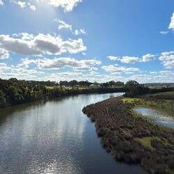 Nicholson River view