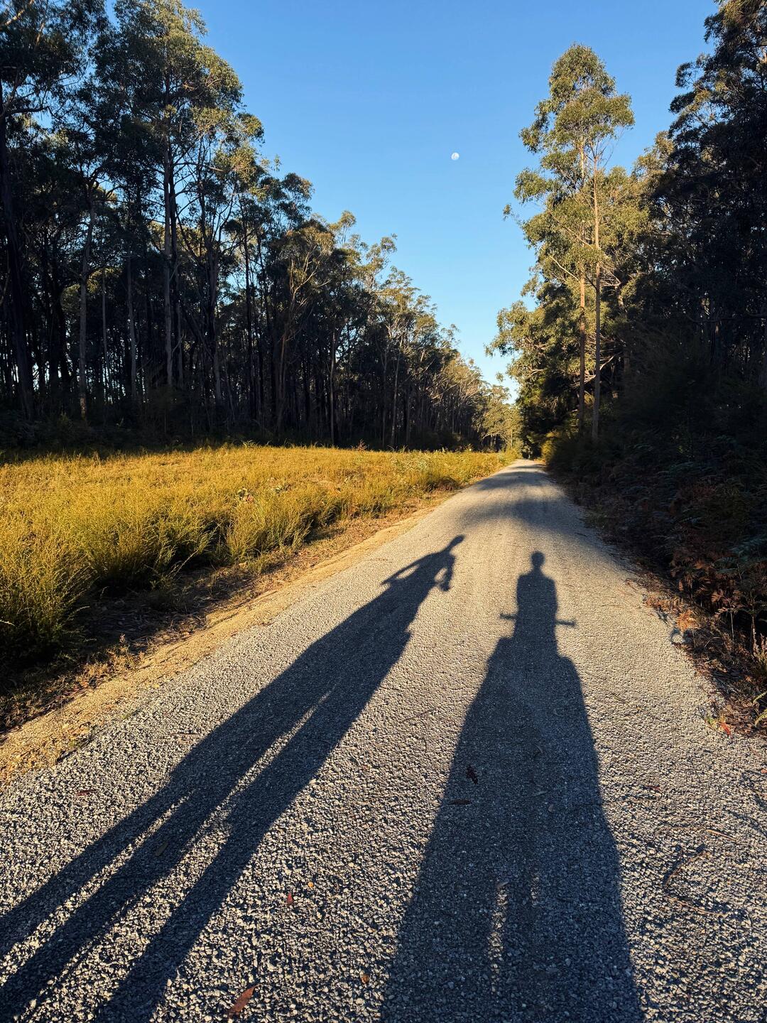 Shadowy figures in the late afternoon light