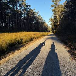 Shadowy figures in the late afternoon light