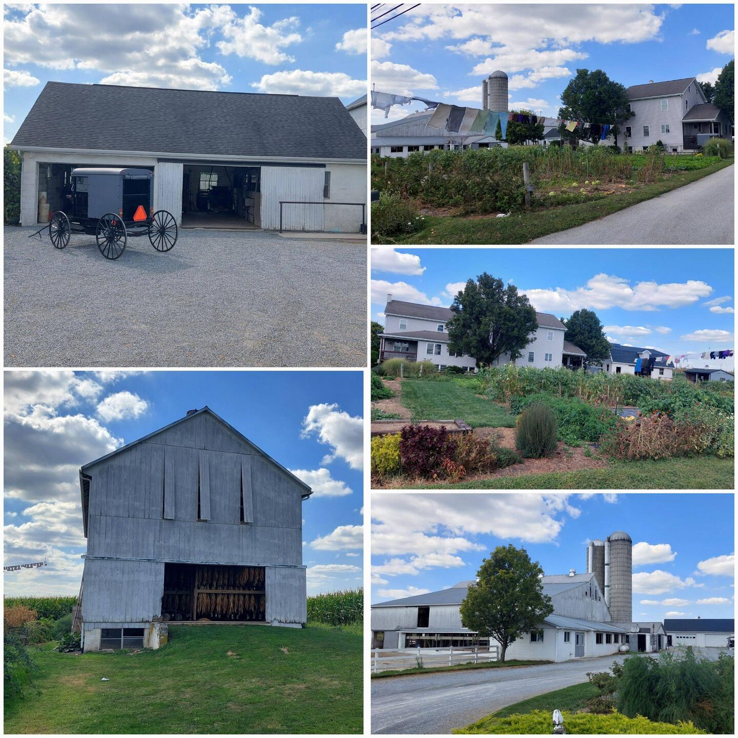 Farm Houses der Amish