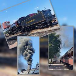 Umwelt? Ein Fremdwort im wahrsten Sinne des Wortes / der Sprache 🤣