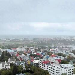 Video view from the bell tower
