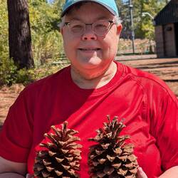 Ponderosa cones at Kahle Park