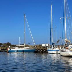 Polly und Ascalon wieder beieinander