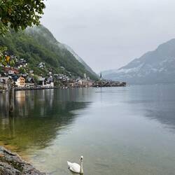 Views from our walks