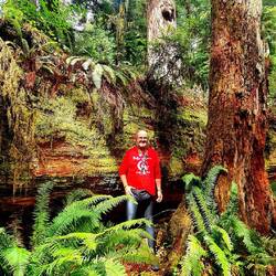 Dahinter liegt ein Bäumchen🤣