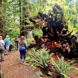 Ranger geführte Gruppe