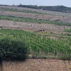 Rüdesheim in Sicht