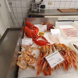 Frisch gefangen, sogleich im Verkauf