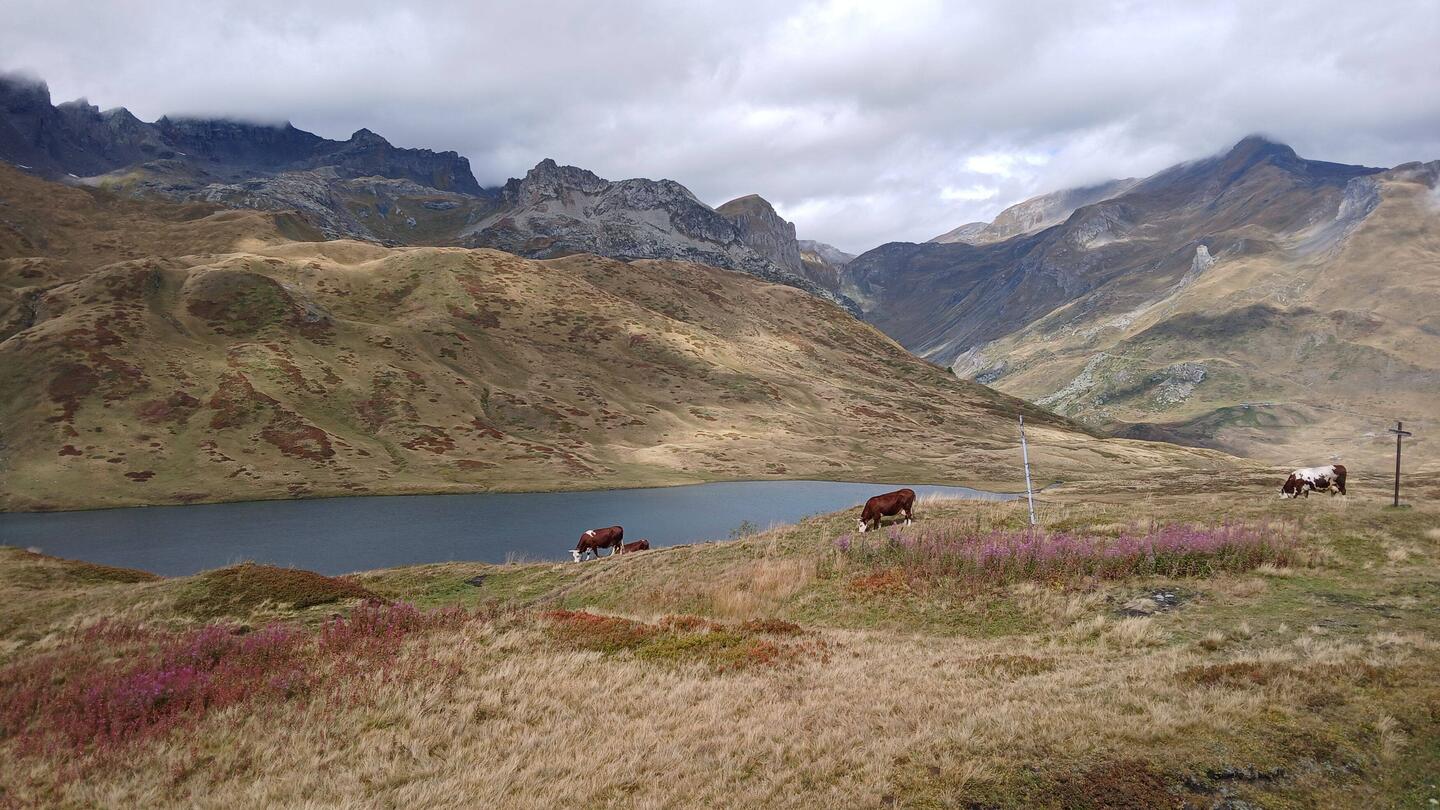 Fra bjergpasset Col du Petit Saint-Bernard