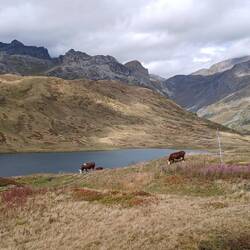 Fra bjergpasset Col du Petit Saint-Bernard