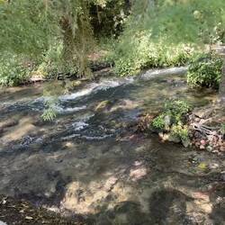 This gentle stream was so cool and so calming