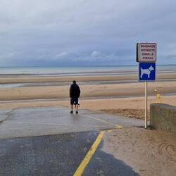 Was für ein Hundestrand! 🤩