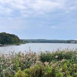 Am Kölpinsee