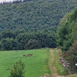 Man muss etwas zoomen. ☝️