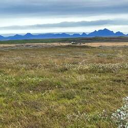 Farm land of Siduda's family.