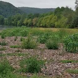 Und noch einmal Dordogne hautnah