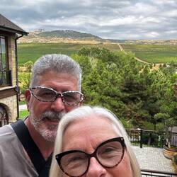 The vineyards