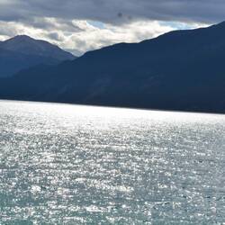 kurzer Stopp am Muncho Lake