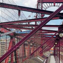 Primera estructura transportadora de este tipo en el mundo.