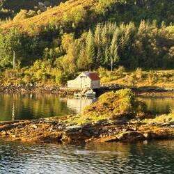 Torvik