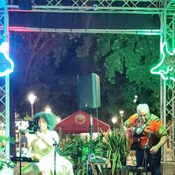 Live music in Boho 6