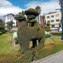 We still have not seen a llama!