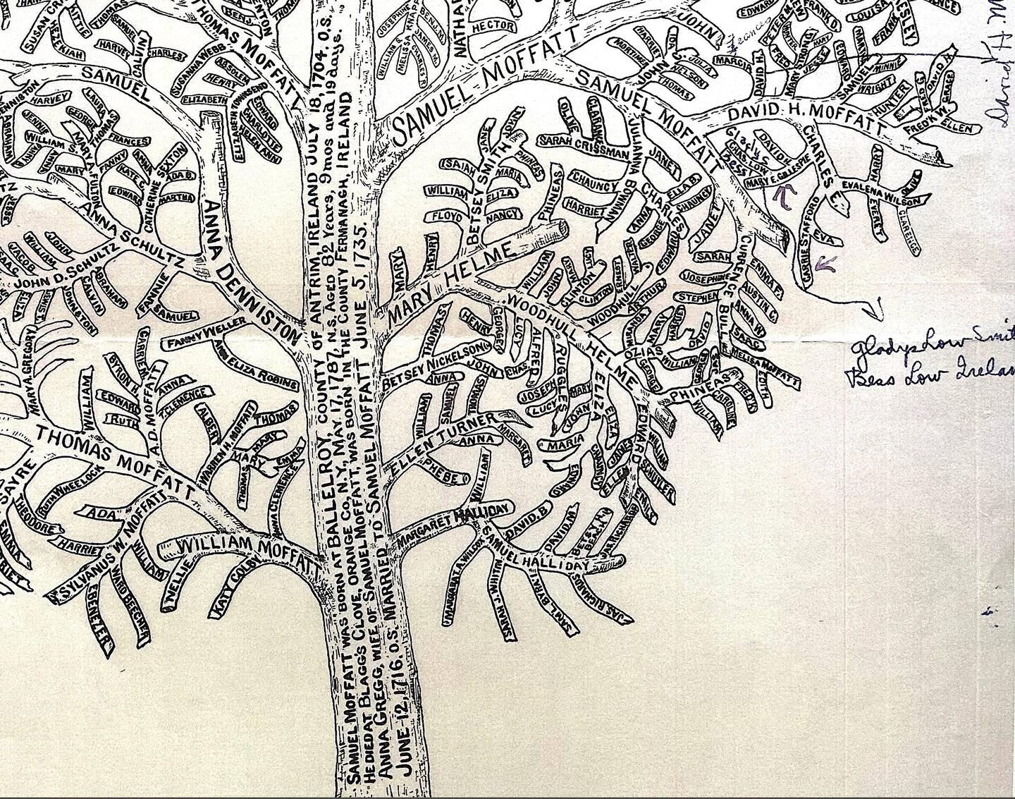 Our man in question was D.H. Moffat Jnr. The spelling of Moffatt hereon is irrelevant.