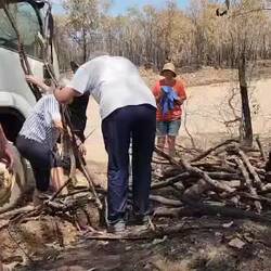 Stopping on the side of the road to collect firewood for our campfire tonight