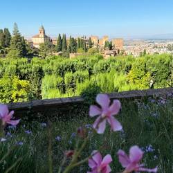 The Alhambra