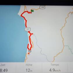 Vom Jedediah SP zum Redwood NP