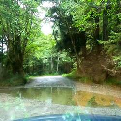 Fahrt zum Fern Canyon