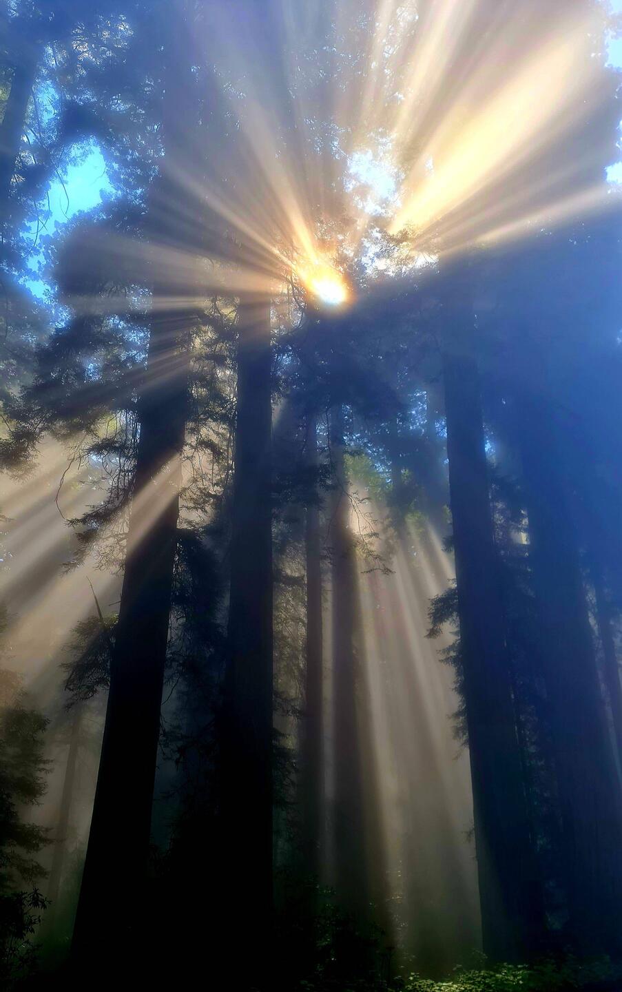 Über der Nebelgrenze