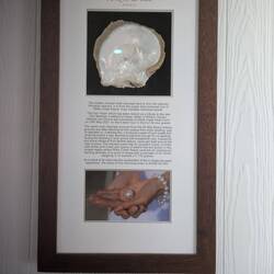 Shiny inside of shell is the "nacre" I referred to in the post