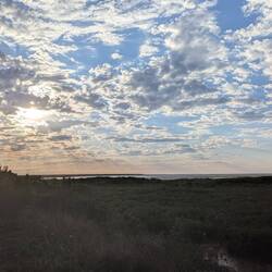 View on my morning walk the day after we arrived in Broome. Shaking out the cobwebs