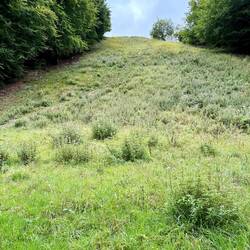 Looking up Coopers Hill (cheese rolling) Cotswolds Common nature reserve
