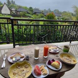 Schöne Sicht auf das Reisfeld