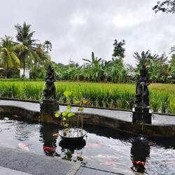 Restaurant " Tropical View" in Ubud