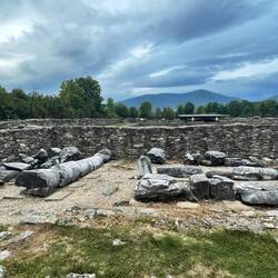 A nawet całe stadko