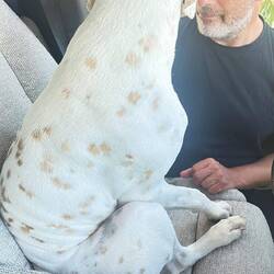 Nein, ich möchte aber fahren. 😂