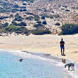 Einsame Bucht aber leider konnte man nicht so nah parken.
