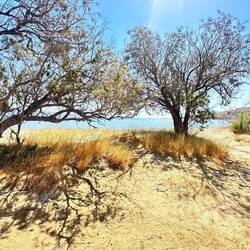 Ein letzter Blick... Danke. 🙏🏻