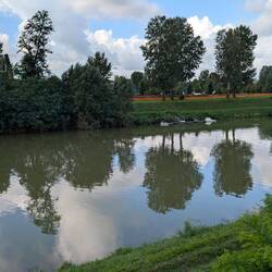 Der Arno am Morgen