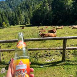 Spezi pause