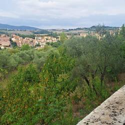 View on our cycle