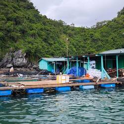 wir fahren durch das schwimmende Dorf