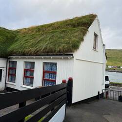 A closeup example of a grass roof from the hike down