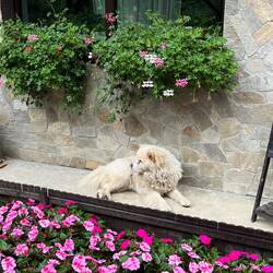 trockenes Plätzchen zum chillen.