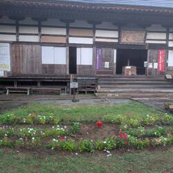 Sado- Blumenbeet nachher